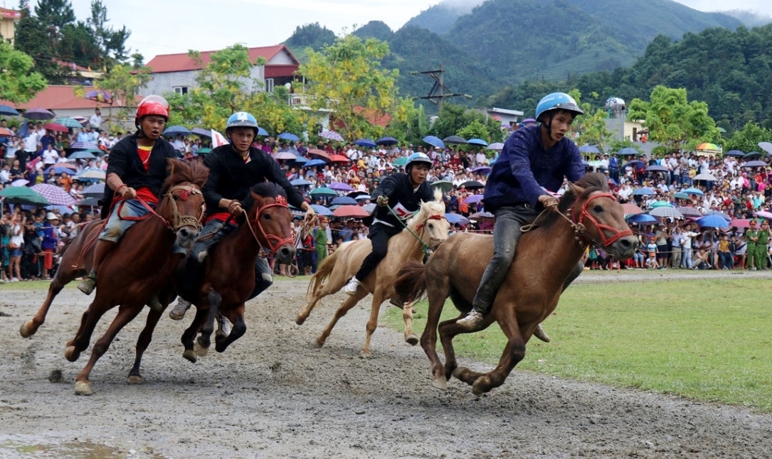 Khám phá thông tin về Đua Ngựa Bắc Hà Sunwin 